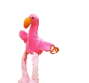 flamingodance flamingodance