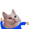 SCkittydance SCkittydance