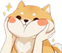 CuteShiba CuteShiba