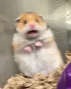 scared