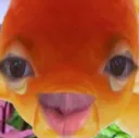 sHiRfiSh
