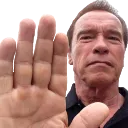 arnoldHalt