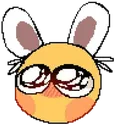 bunny