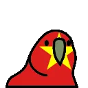 5237_vietnamparrot