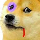 9541_dogeow