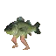 fishdance fishdance
