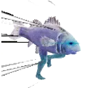 fapst