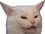 stanleywut