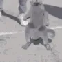 GangstaCat