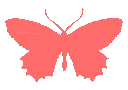 ButterflyRed
