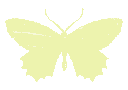 ButterflyGreen
