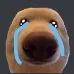 DawgSad