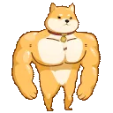 doge2 doge2