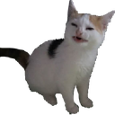 :ew: