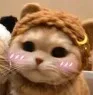 catto_qt catto_qt