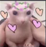 Binguslove