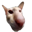 wabunga