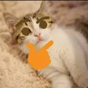 emoji_cat_thinking Discord Emoji