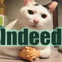 cat_indeed
