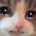 TT_catsobs TT_catsobs