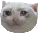 cry_cat