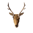 :ScreamingDeer: