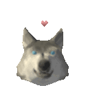 :wolf_heart: