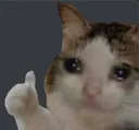 sad_cat_ok