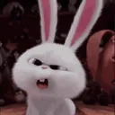 TDT_confusedbunny TDT_confusedbunny