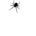 spider2