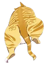 catbutt2 Discord Emoji