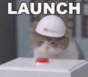 launch_cat Discord emoji