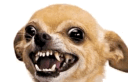 keshamood Discord emoji