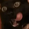 pickle188Spooky