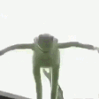 KermitSuicide