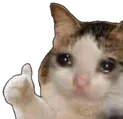 CatThumbs