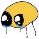 crybug
