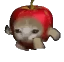 nyapple
