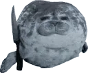 Seal_Dance