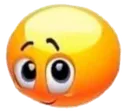 Yellow_vergonhinha_CDL