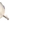 sealarrive