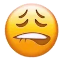 bitelip