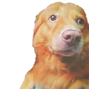 depressedkutta