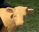 thecow