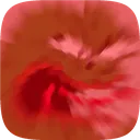 Peperage peperage Discord Emoji