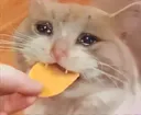 laun_cry
