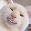 laun_hehe
