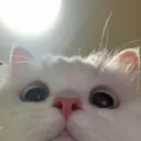 810880088546869258 810880088546869258