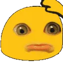 consoleottersadlyfe