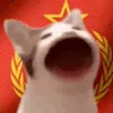 Soviet_CatPop